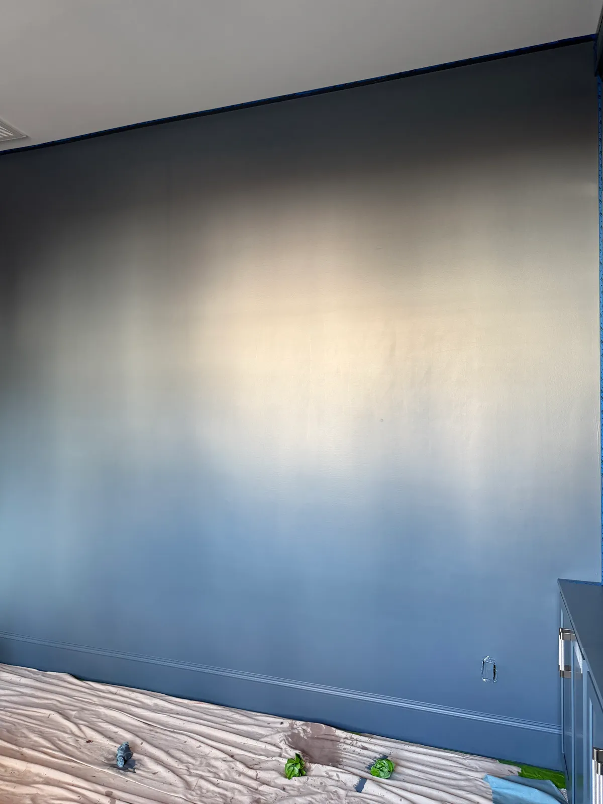 Close view of the deep blue wall finish beside the shelving